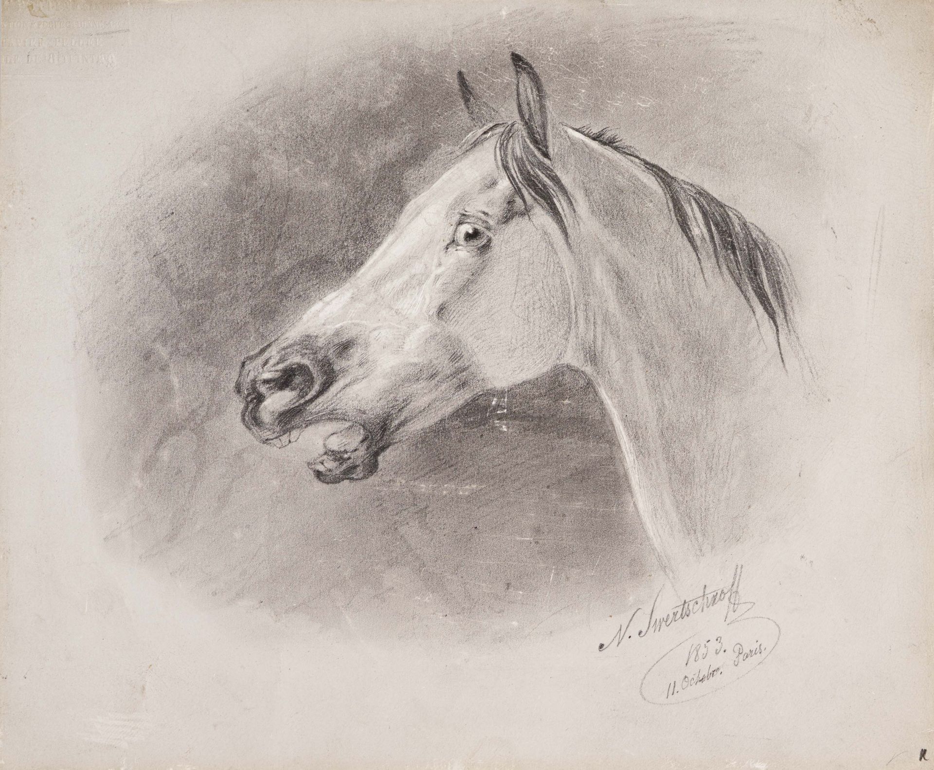 Nikolaj Egorovic Svertchkov: Horse's Head