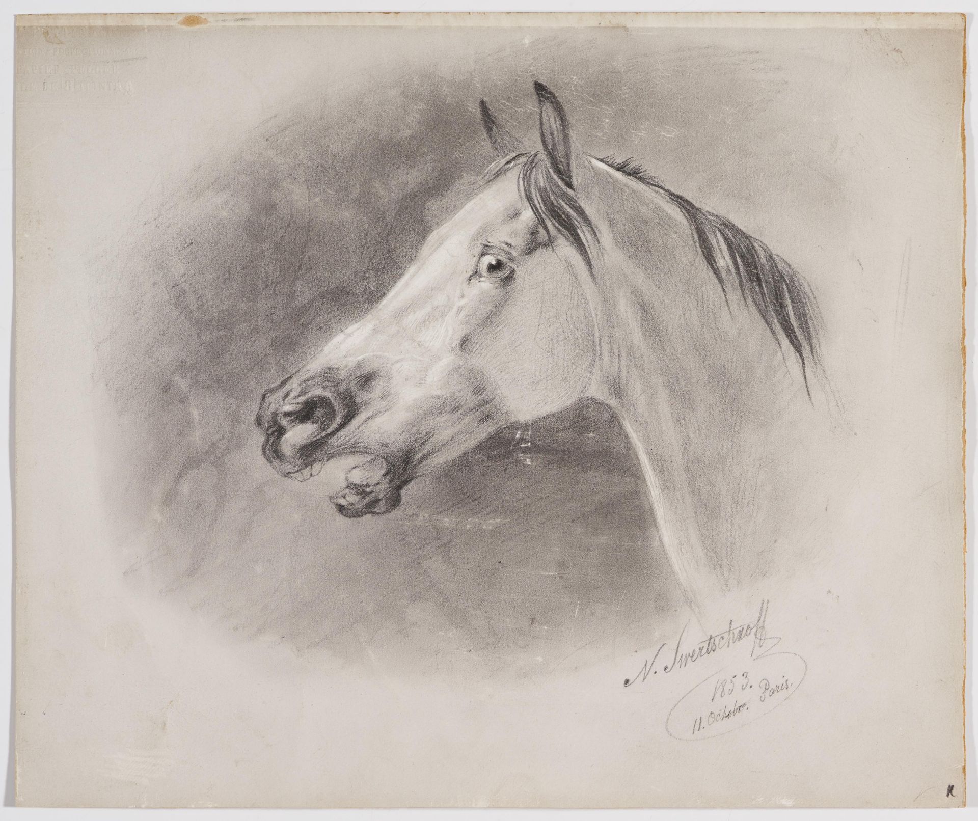 Nikolaj Egorovic Svertchkov: Horse's Head - Image 2 of 4
