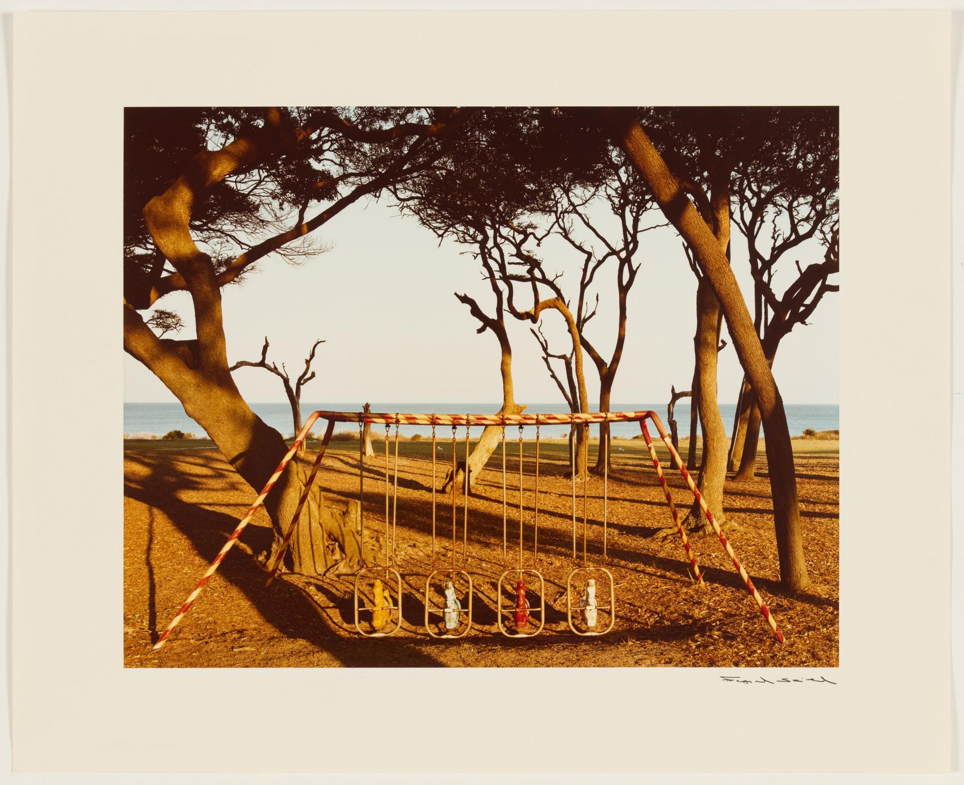 Alfred Seiland: Pferdeschaukel, Jekyll Island, Georgia, 1982 - Bild 2 aus 4