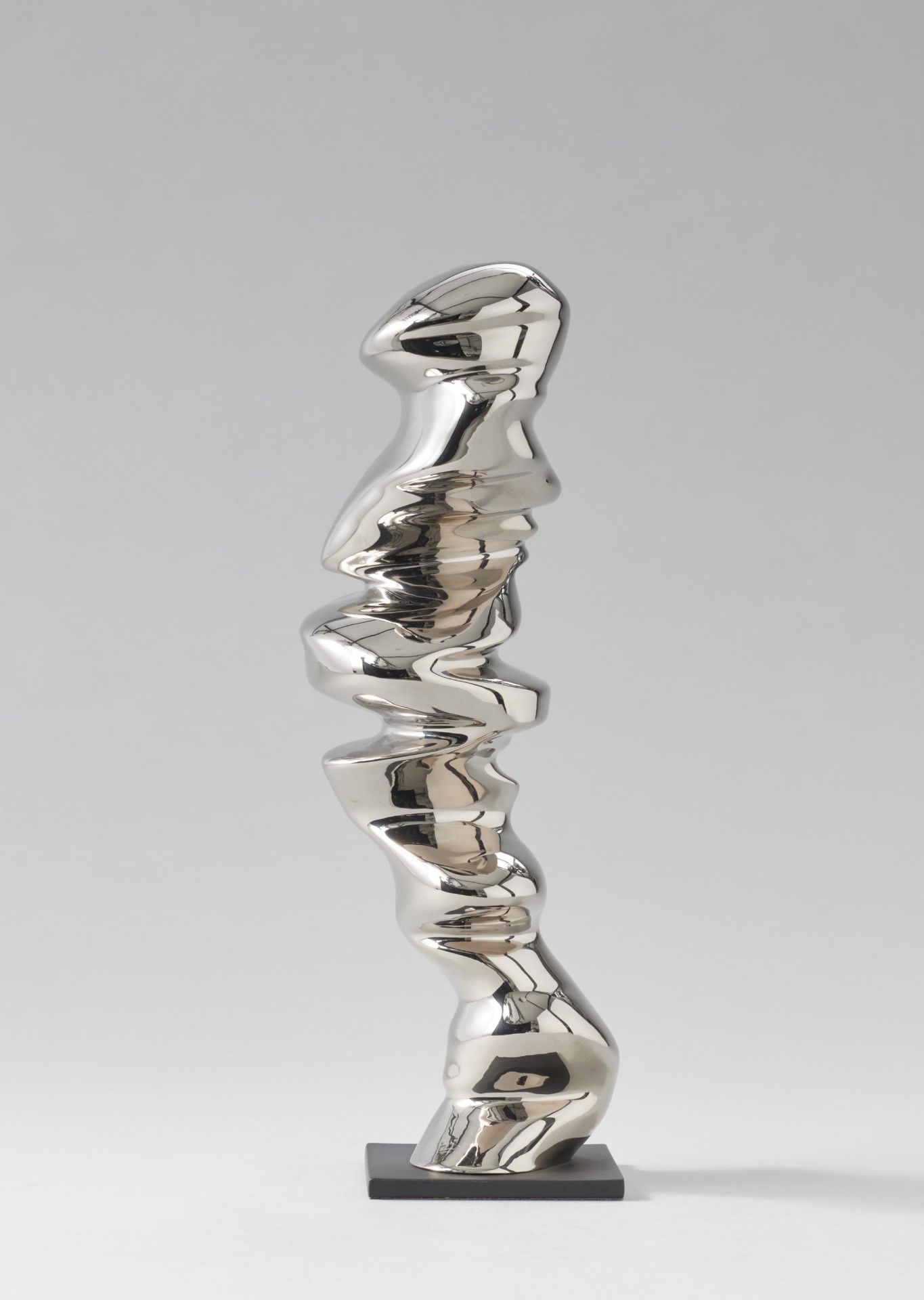 Tony Cragg: Points of View - Image 2 of 4