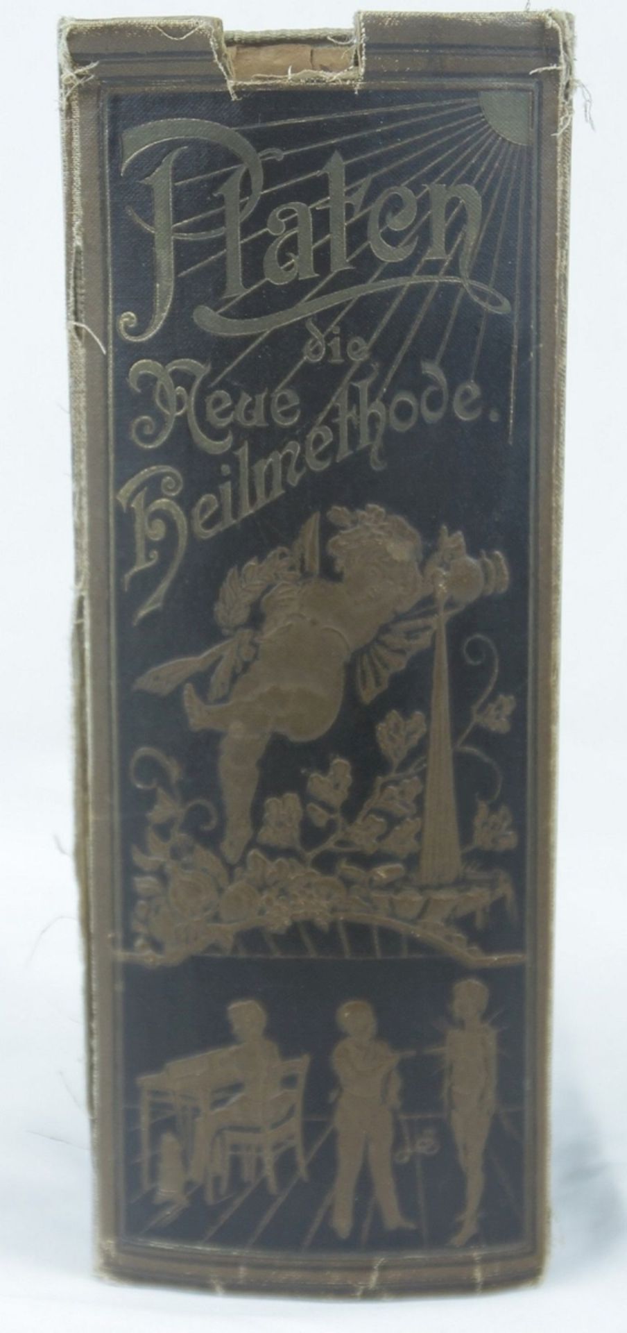 Antikes Buch Platen - Die neue Heilmethode 1894 - Bild 2 aus 3