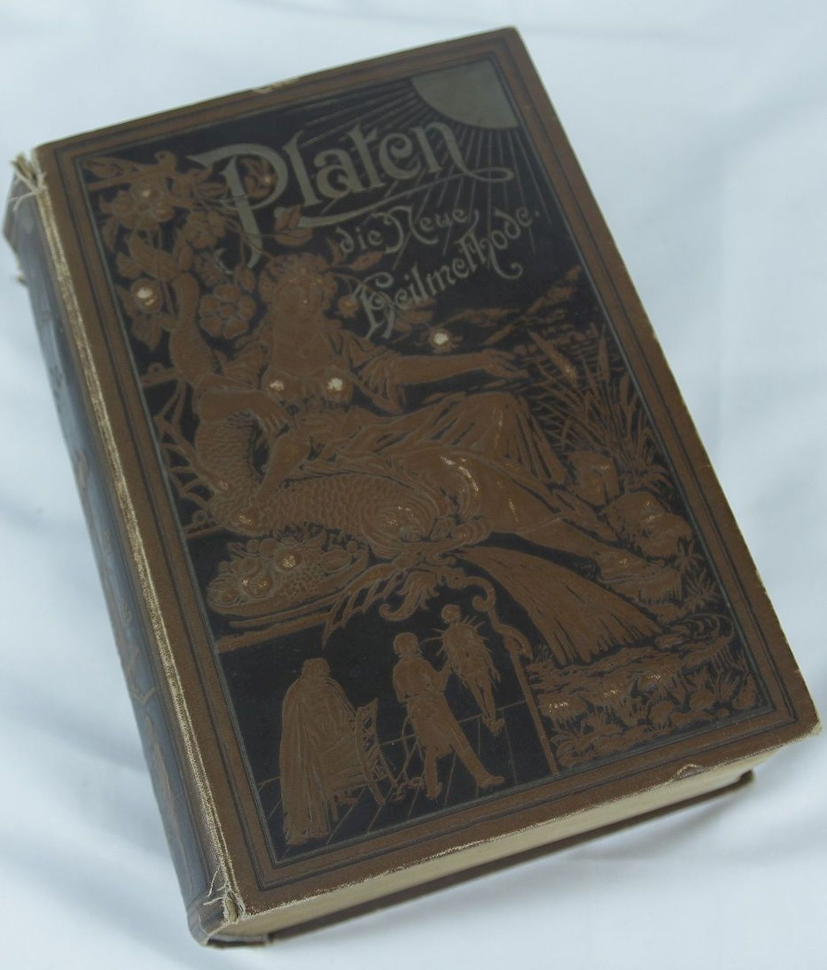 Antikes Buch Platen - Die neue Heilmethode 1894
