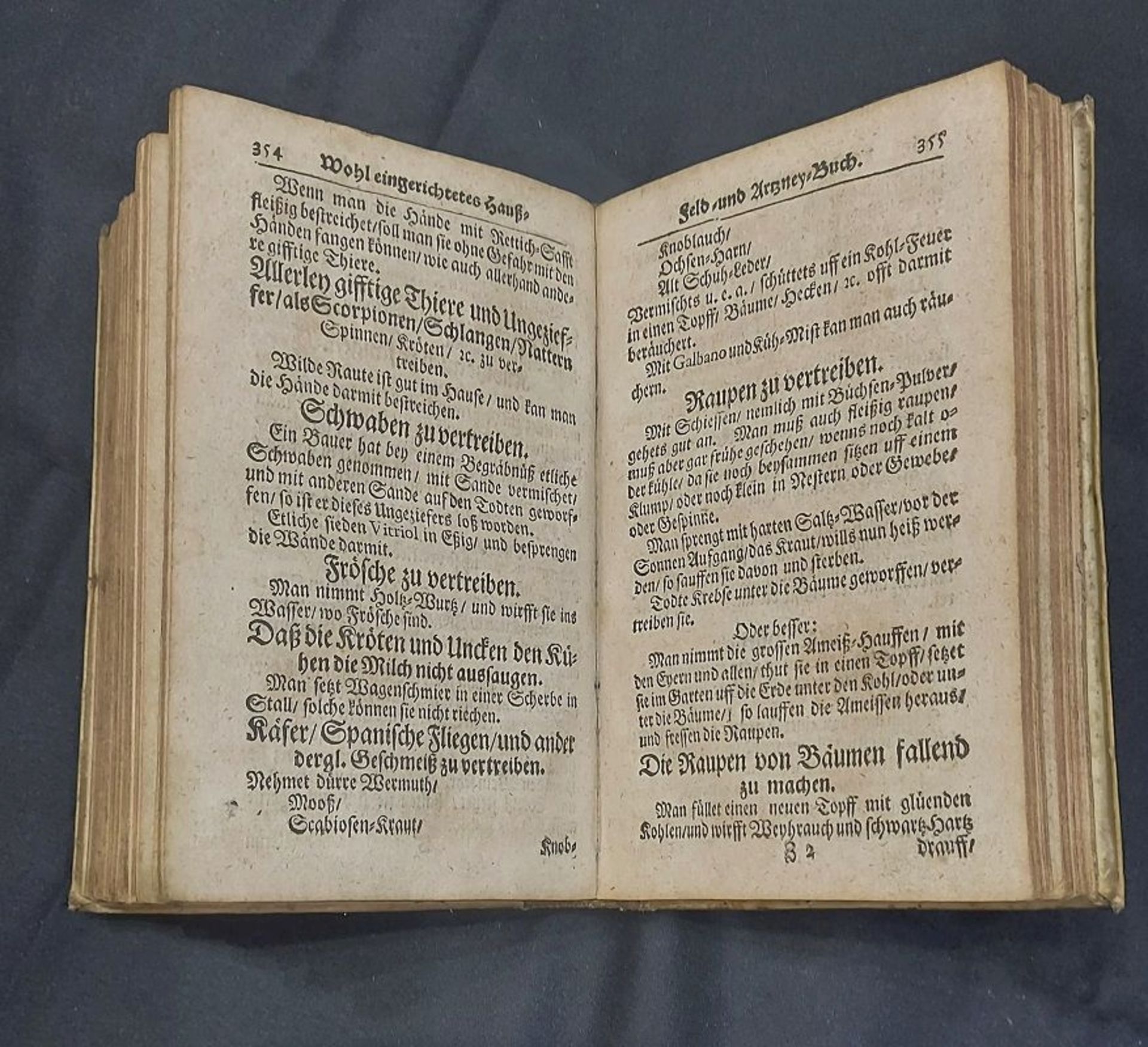 Für den Tierschutzverein Gifhorn: RARITÄT !!! Historisches Buch "NEUE & KURSIVE SCHATZKAMMER"  1717