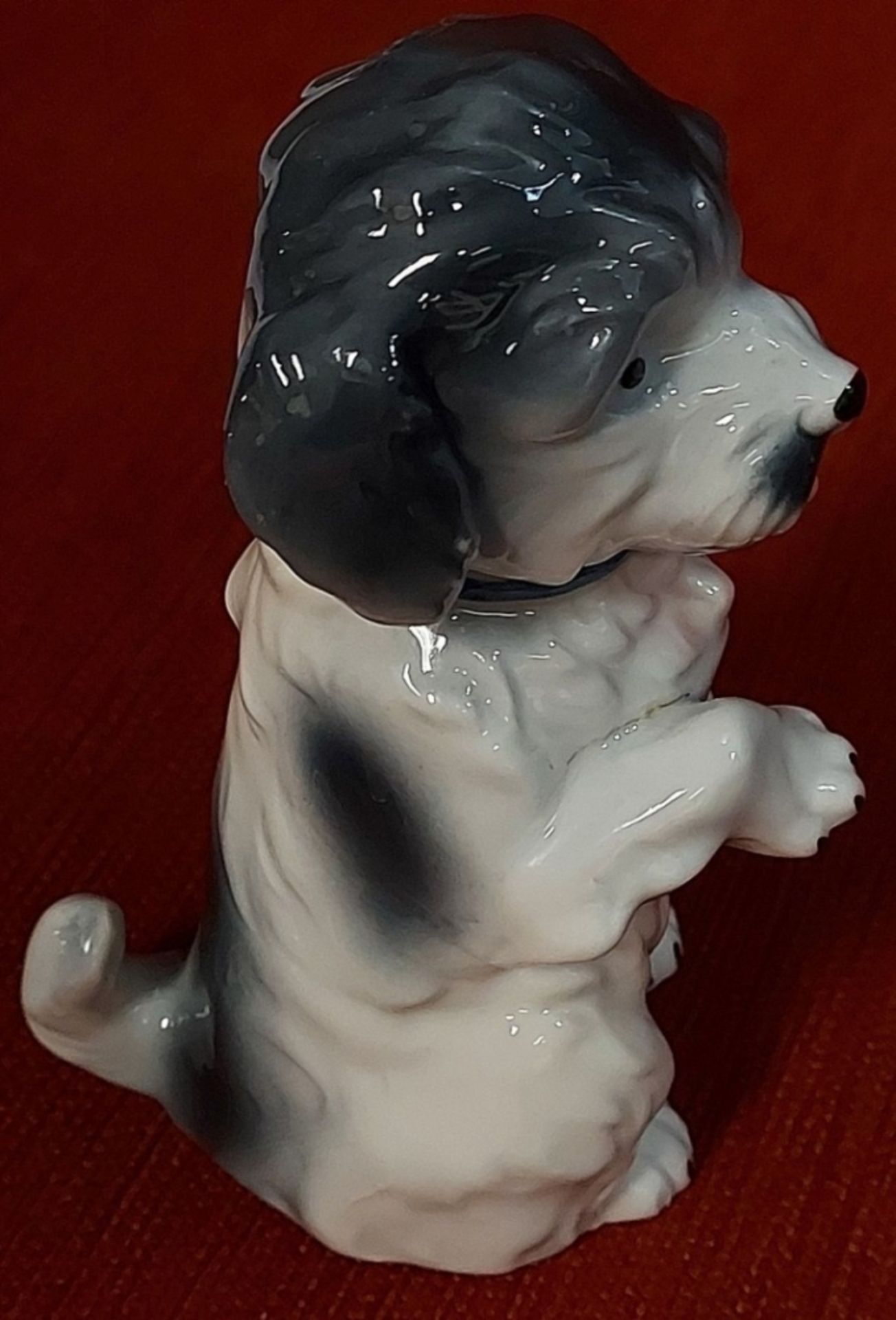 Zauberhafter kleine alter Porzellanfigur Hund Hündchen mit Schleife - Image 4 of 4