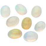 Lot of 8 GRA Certified Natural Opal Gemstones 4.43 ct. in total.