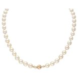 Saltwater pearl necklace with a 14K. yellow gold closure.