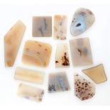 Lot of 12 table cut dendrite agates.