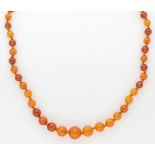 Necklace of natural amber.