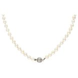 J. Köhle single strand Akoya pearl necklace with a 14K. white gold closure.