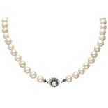 Single strand pearl necklace with an 18K. white gold closure set with sapphire and cultivated pearl.