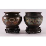 Two various cloissoné cache pots on a loose wooden base, around 1900
