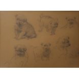 Eerelman, Otto (Groningen 1839-1926) 'Study of St. Bernard puppies',