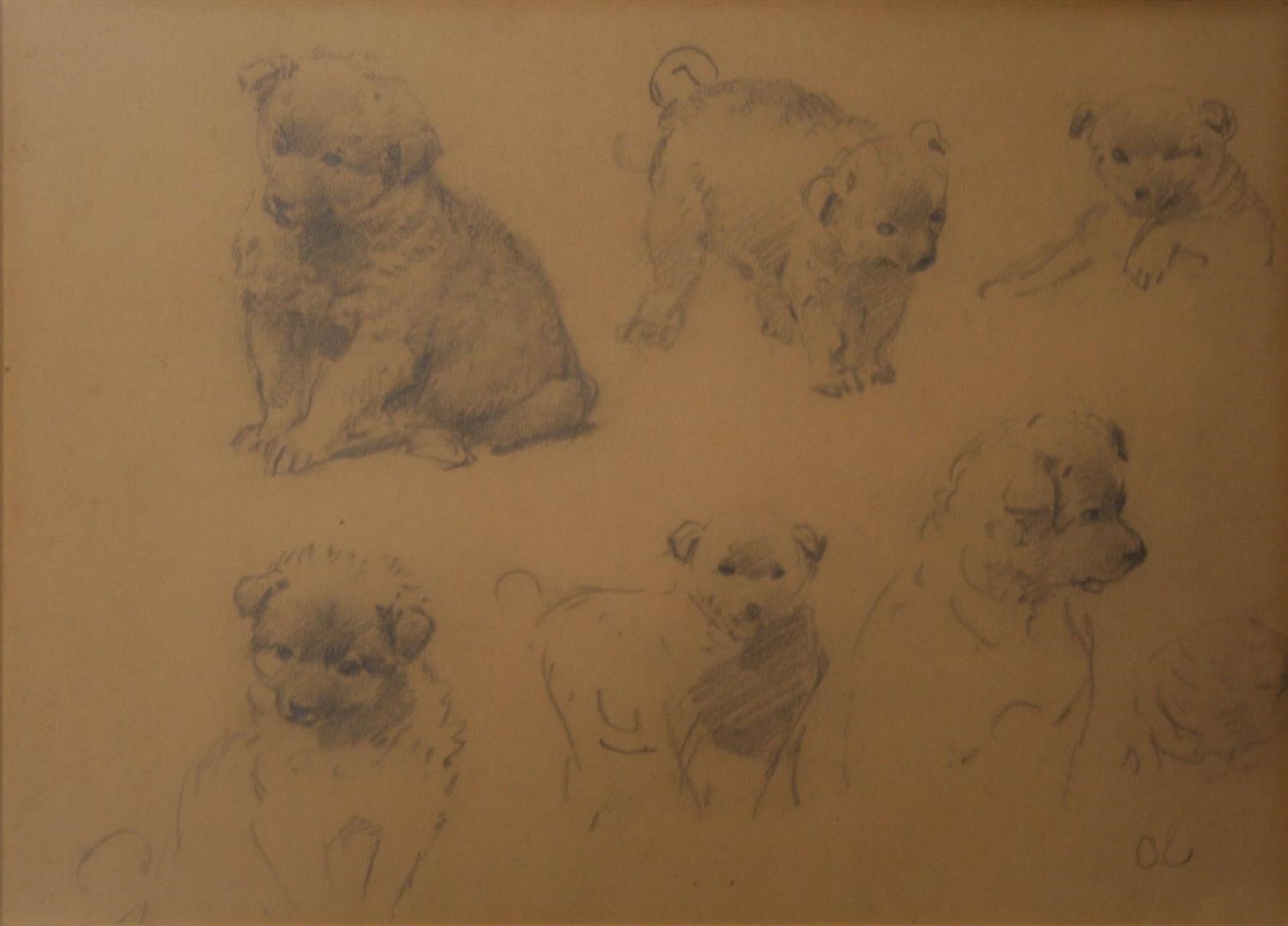 Eerelman, Otto (Groningen 1839-1926) 'Study of St. Bernard puppies',