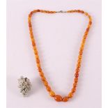 A necklace of ascending oval honey amber with base clasp.