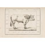 F. Rozier, Cours complet d'agriculture ... 12 Bde. Paris 1781-1805.