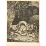 H. W. Tischbein, Tetes de différents animaux. Neapel 1796.