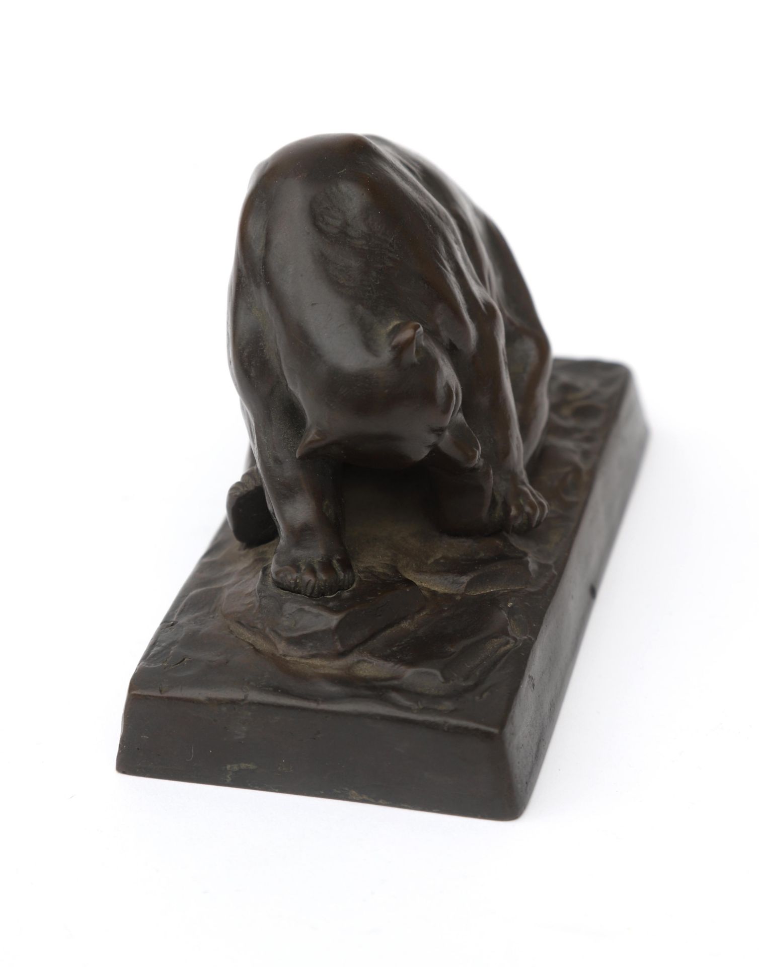 Peter Tereszczuk (1875-1963) A patinated bronze figure of a bear, marked to the base, the edge