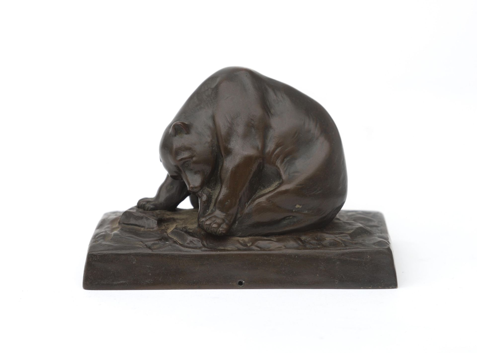 Peter Tereszczuk (1875-1963) A patinated bronze figure of a bear, marked to the base, the edge - Image 5 of 6