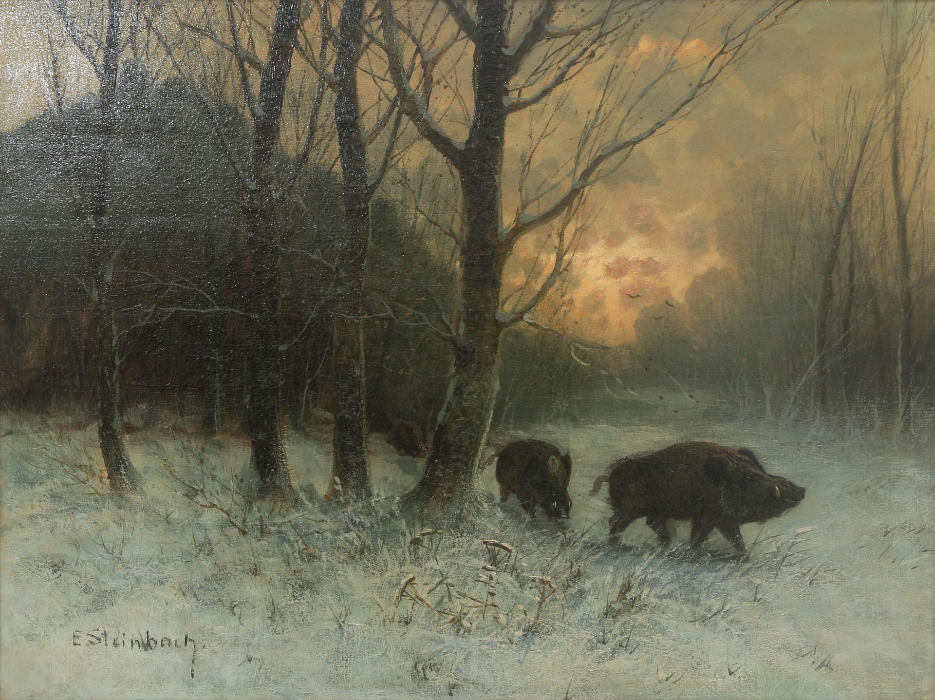 Eduard Steinbach (1878-1939) A winterlandscape with wild boars in a forest, signed l.l.. Olieverf op