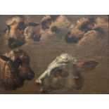 Hollandse School, 19e eeuw 'Painted study of four sheep's heads and the head of a cow', not