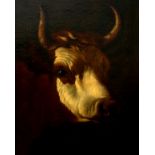 Hollandse school, 17e eeuw Head of a cow Marouflé, 75 x 60 cm.