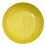 A Yellow Dish