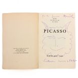 A Picasso Book