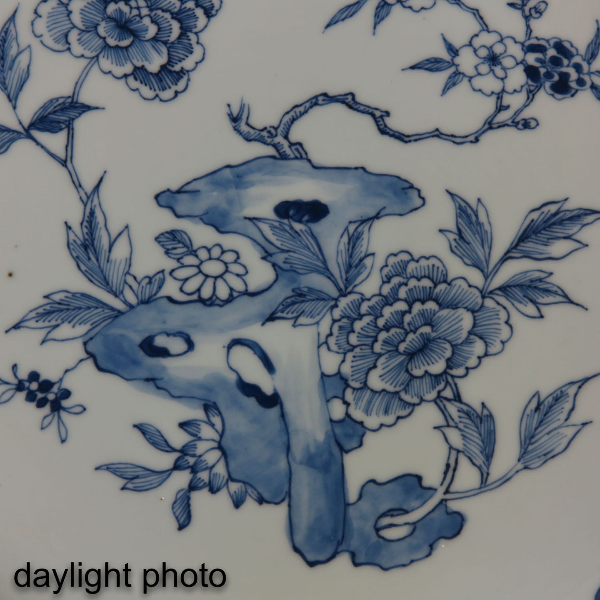 A Pair of Blue and White Sacred Fungus Plates - Bild 9 aus 9