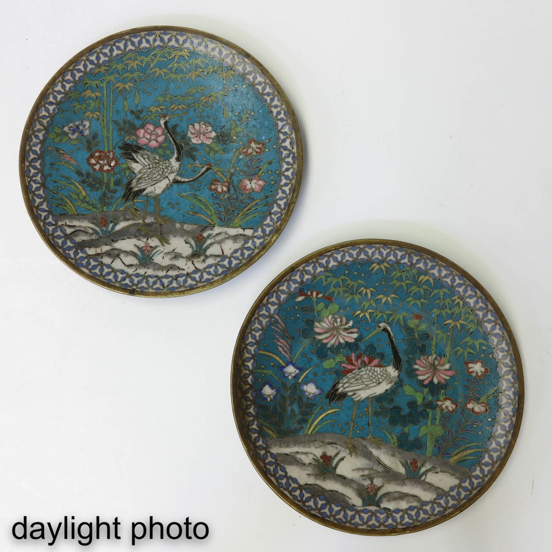 A Lot of 2 Cloisonne Plates - Image 7 of 10
