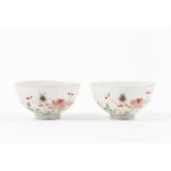 A pair of Famille Rose 'beetle and blossoming flowers' cups