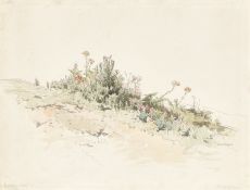 Friedrich Nerly. Meadow on Capri. 1831/1835