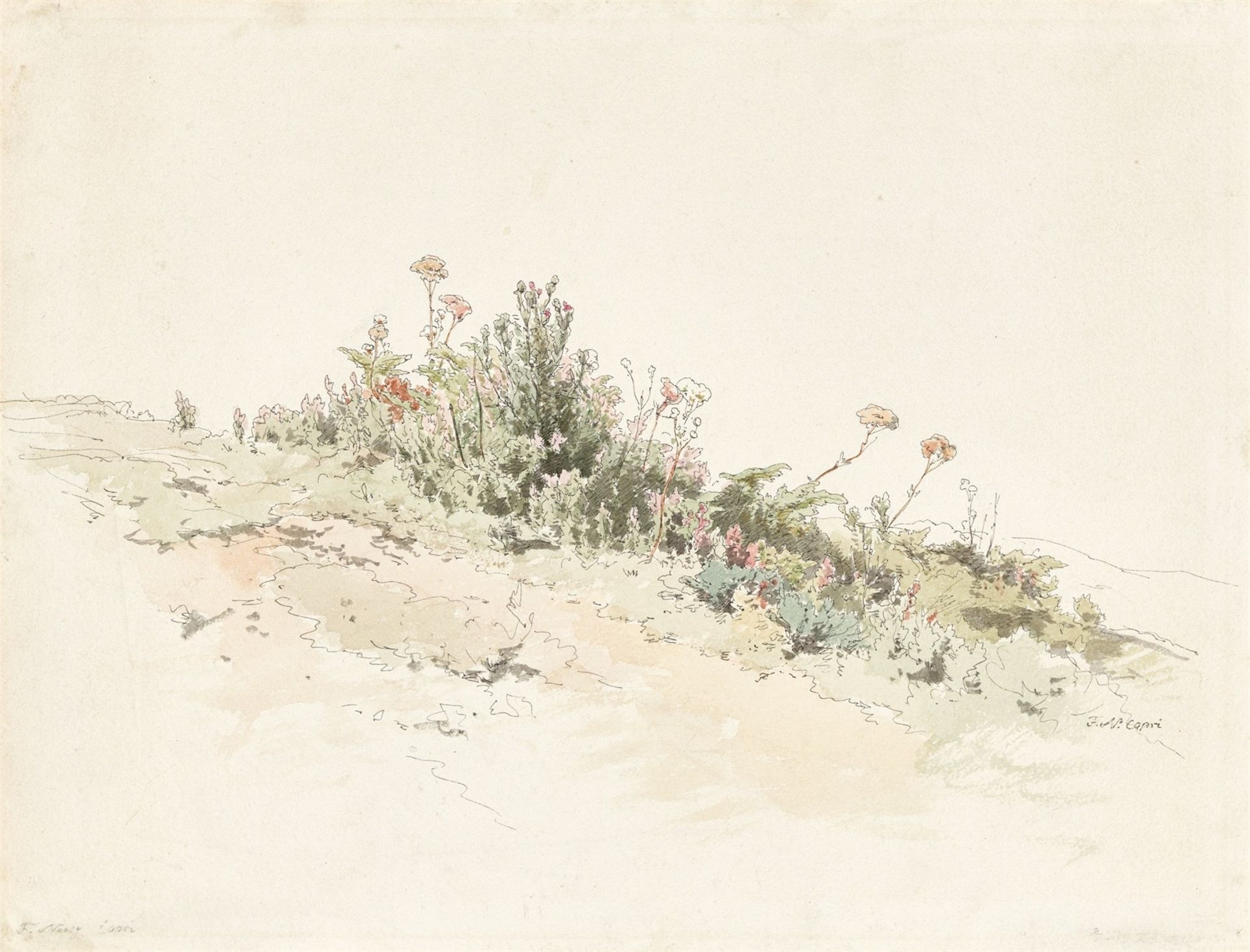 Friedrich Nerly. Wiesenstück auf Capri. 1831/1835