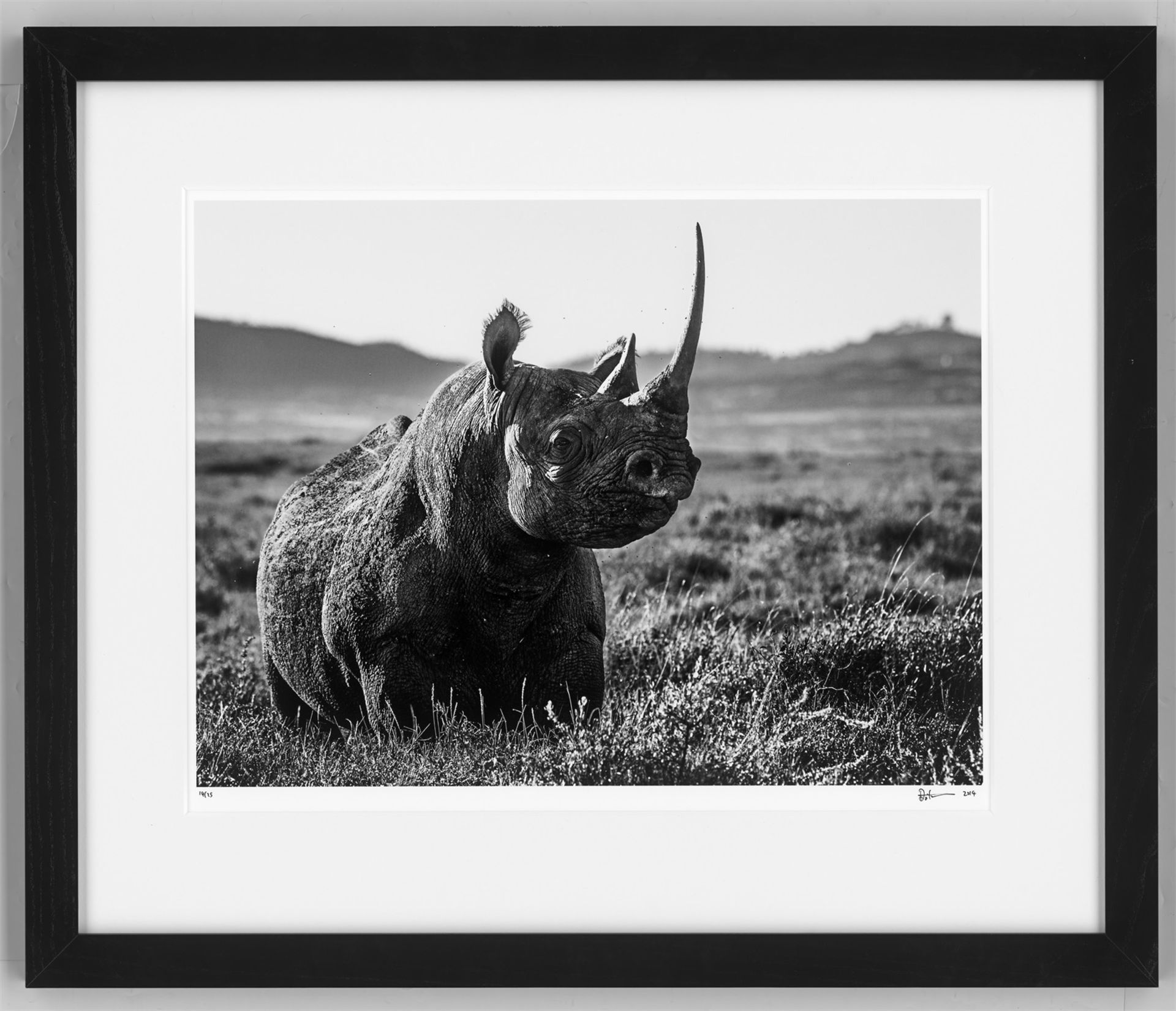 David Yarrow. Konvolut „The Gary Player African Wildlife Collection“. 2012/16 - Bild 10 aus 12