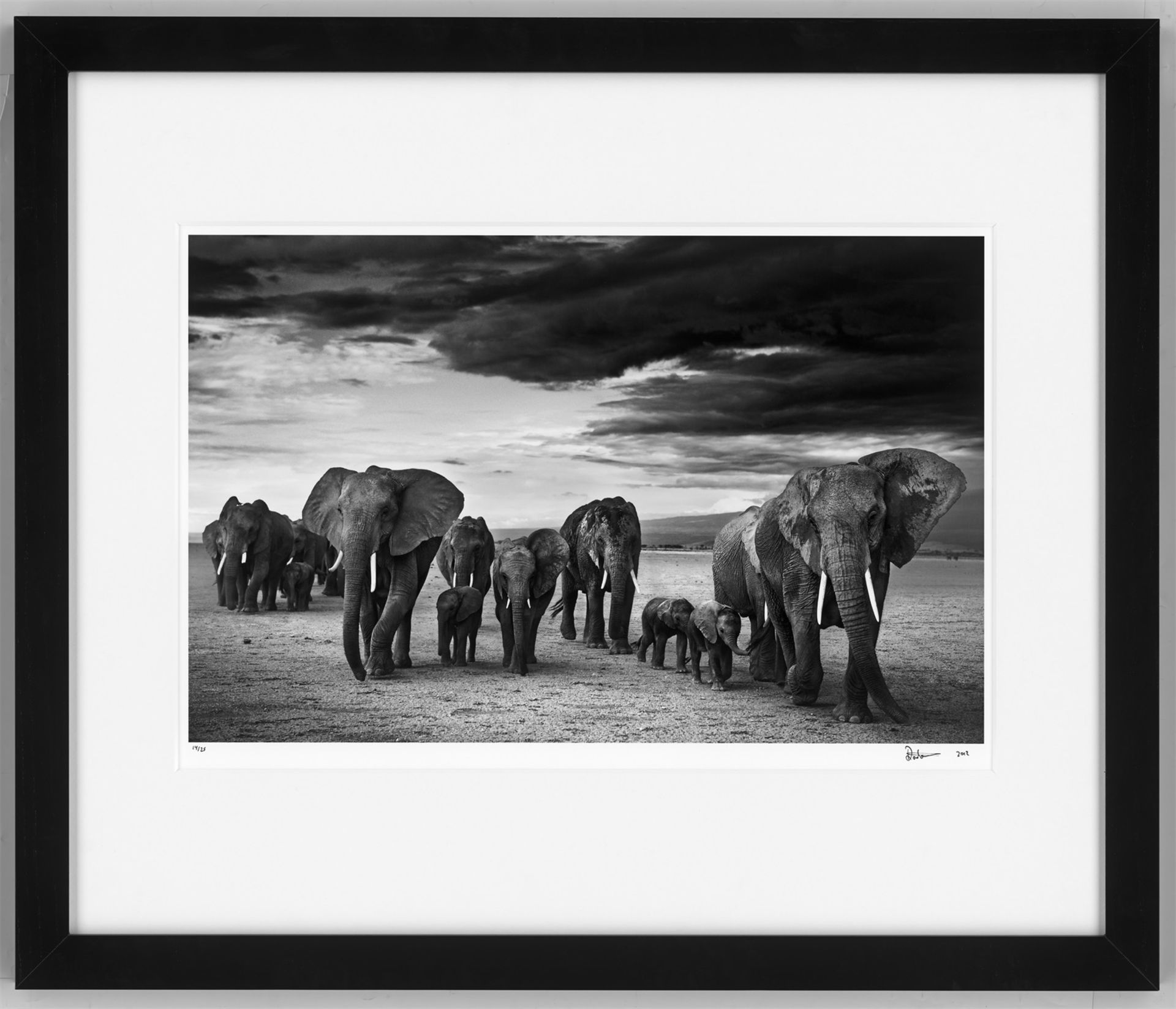 David Yarrow. Konvolut „The Gary Player African Wildlife Collection“. 2012/16 - Bild 7 aus 12
