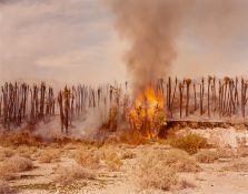 Richard Misrach. Desert Fire #1 „Burning Palms“, aus der Serie „Desert Canto IV: The Fires“, …. 1983