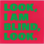 Rémy Zaugg. „LOOK,/I AM/BLIND,/LOOK., (No. 3) (violet-rouge/vert)“. 1998/99