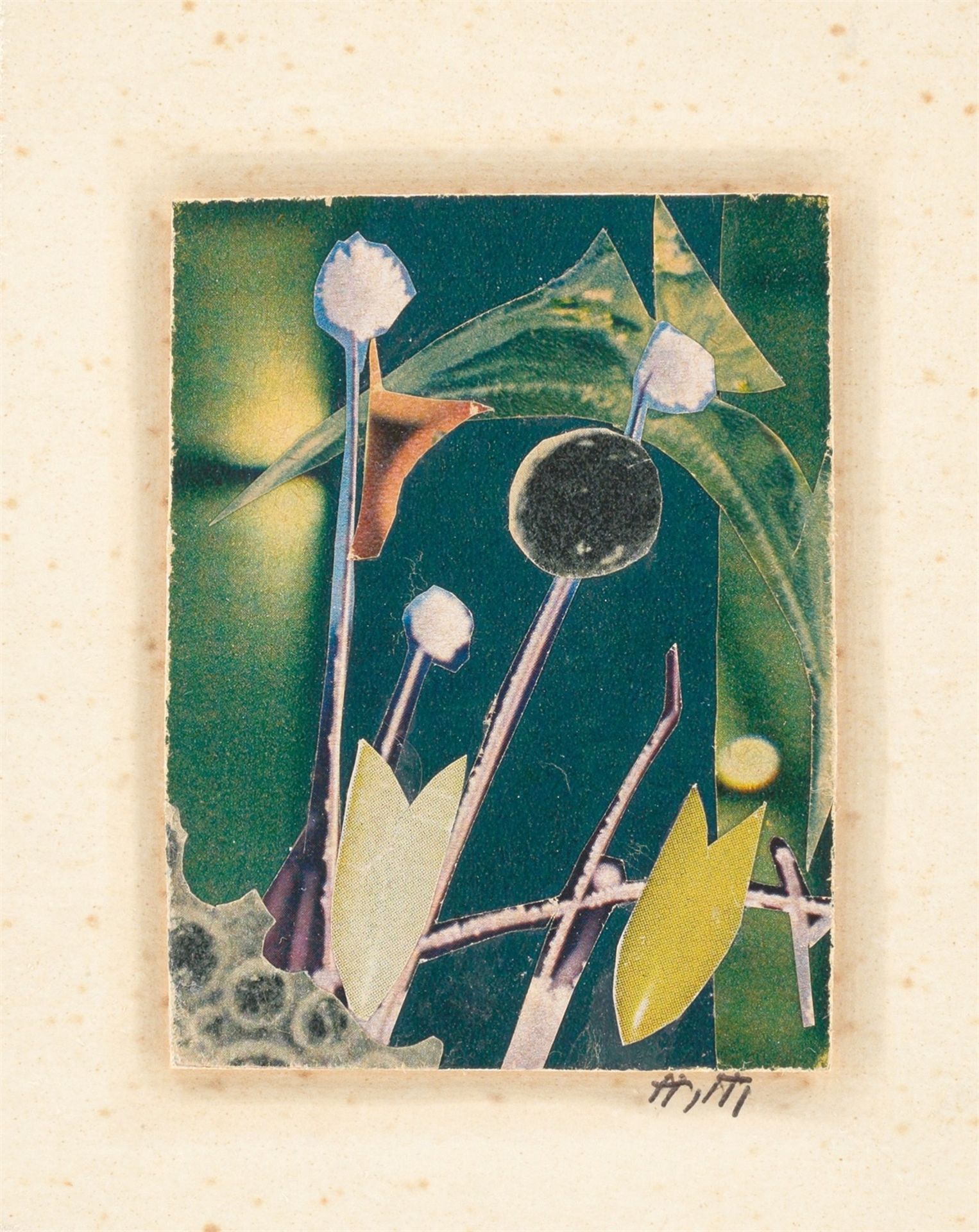 Hannah Höch. Nachtgewächse. Um 1960