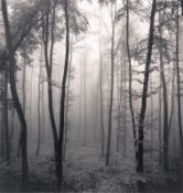 Michael Kenna. „Jura Forest, Dornach, Switzerland“. 1993