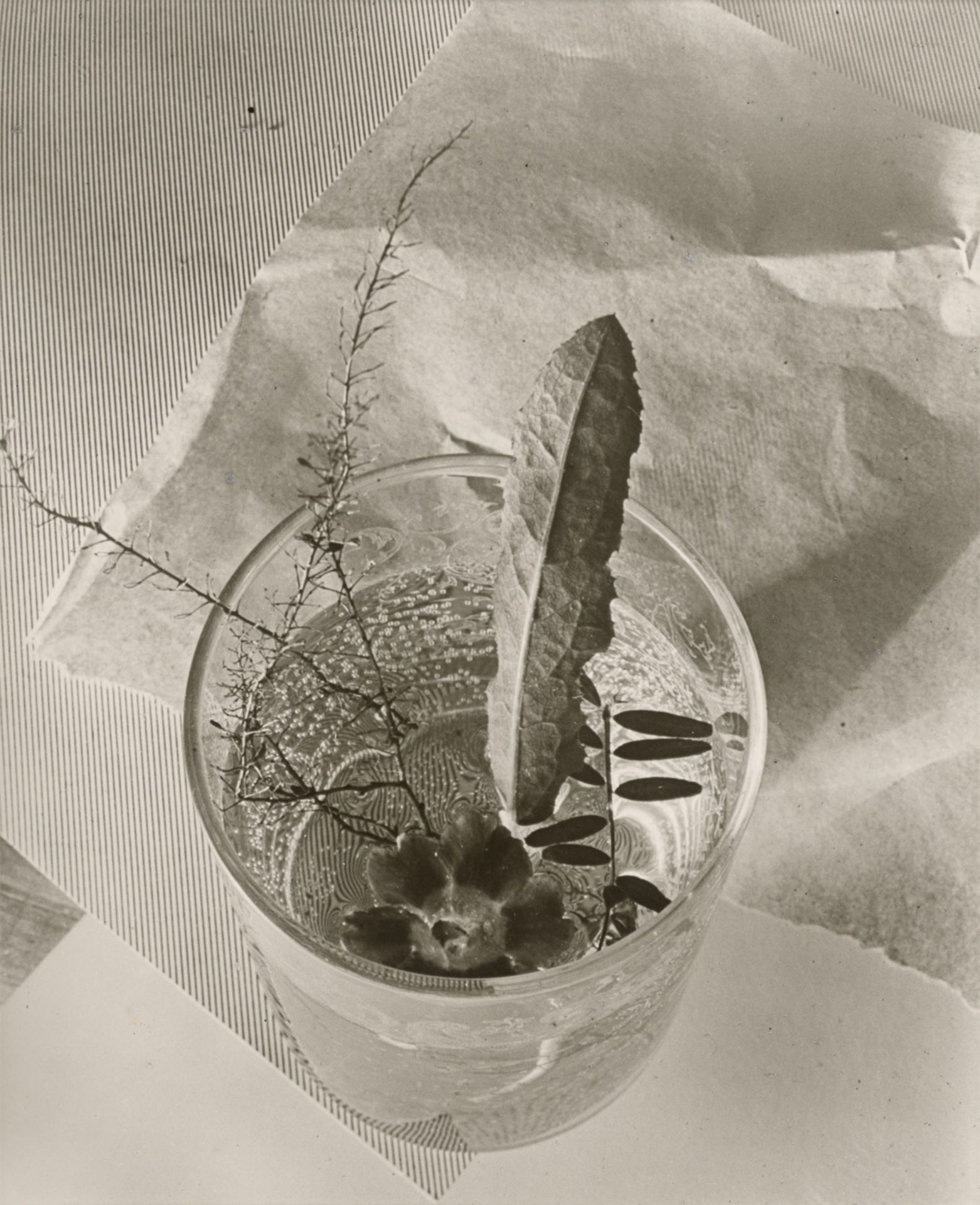 Ringl + pit (Ellen Auerbach & Grete Stern). FOTOGRAFIE ringl + pit. 1929–1933 - Image 3 of 12
