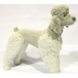Lladro standing French poodle. No cracks, chips or visible restoration, L: 17 cm. P&P Group 2 (£18+