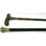Two walking sticks, one with hallmarked silver collar (split). Not available for in-house P&P,