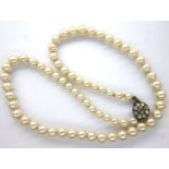 Synthetic pearl necklace on a 9ct gold clasp, L: 38 cm, 18.0g. P&P Group 1 (£14+VAT for the first