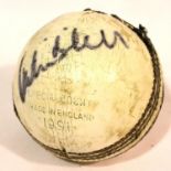 Signed Hampshire County Cricket Club ball, Paul Whittaker and Mark Nicholas. P&P Group 1 (£14+VAT