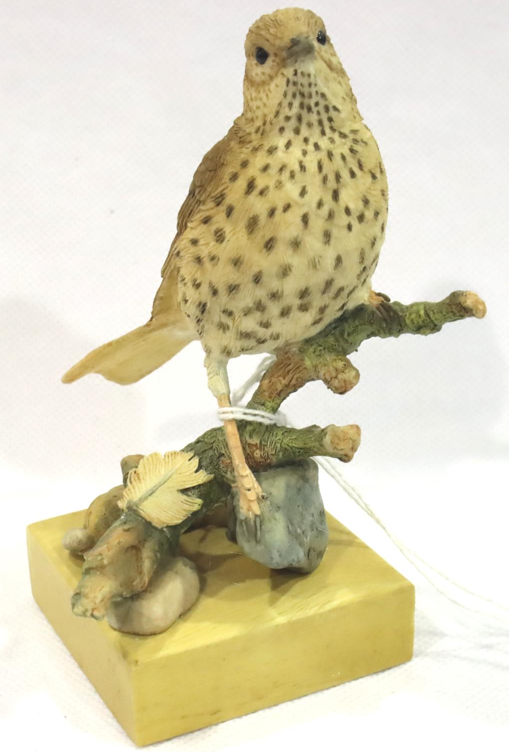 Ceramic Country Artists Broadway birds model of song thrush on branch, boxed, H: 11 cm, no cracks,