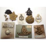 Ten WWI and later British and Commonwealth cap badges. P&P Group 1 (£14+VAT for the first lot and £