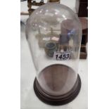 Glass display dome with mahogany base. Not available for in-house P&P, contact Paul O'Hea at