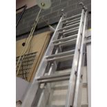 A set of three section extension ladders. Not available for in-house P&P, contact Paul O'Hea at