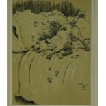 Cecil Aldin (1870 - 1935): early 20th century lithograph, Muddy Paws, 19 x 25 cm. Not available