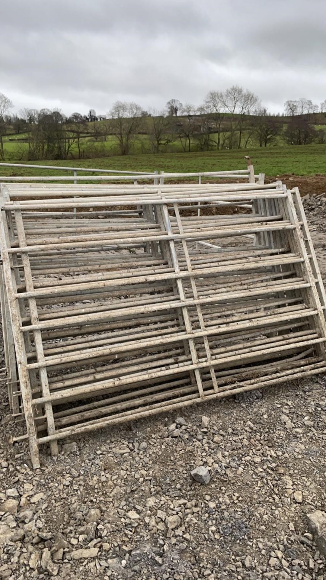 15 X 5'WIDE HURDLES AND PEGS