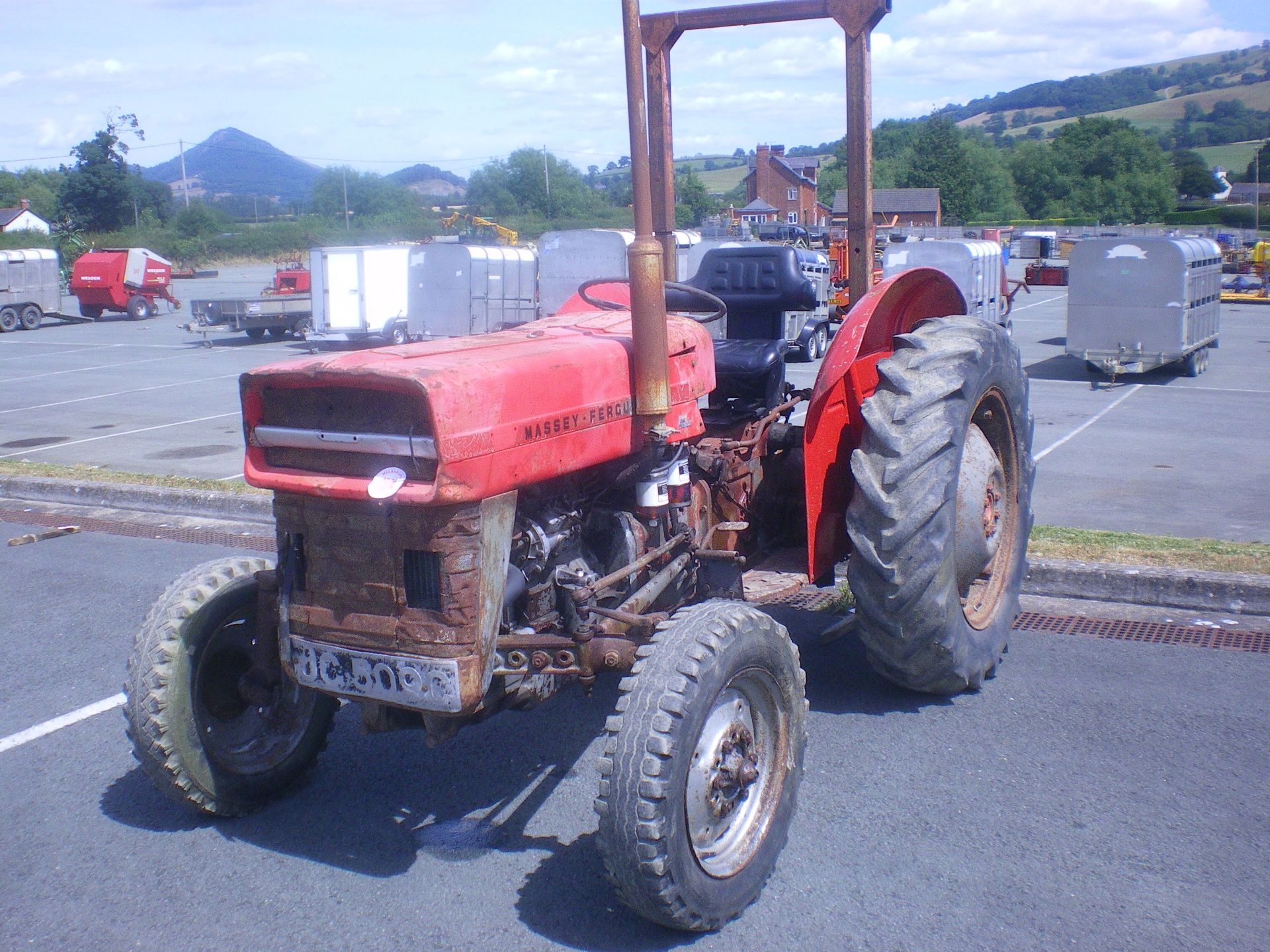 MASSEY FERGUSON 135 GWO